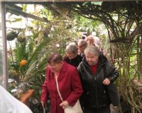 Wystawa orchidei w sosnowieckim Egzotarium